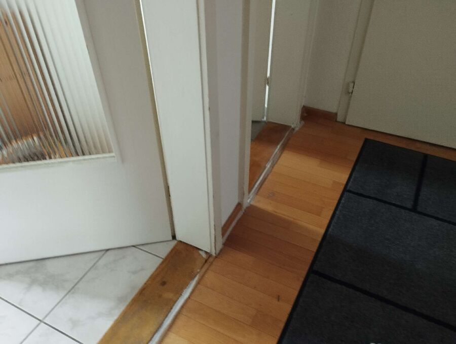 ameisen_vertreiben_bekaempfen_entfernen