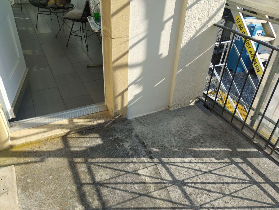 ameisen_vertreiben_bekaempfen_entfernen