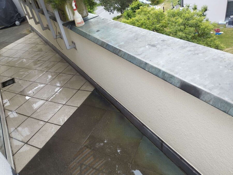 ameisen_vertreiben_bekaempfen_entfernen