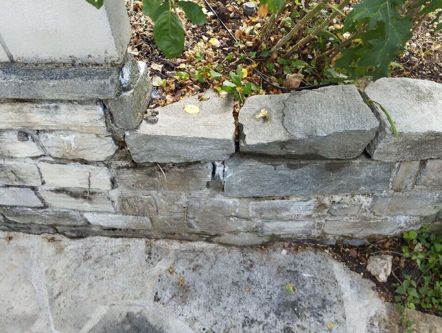 ameisen_vertreiben_bekaempfen_entfernen