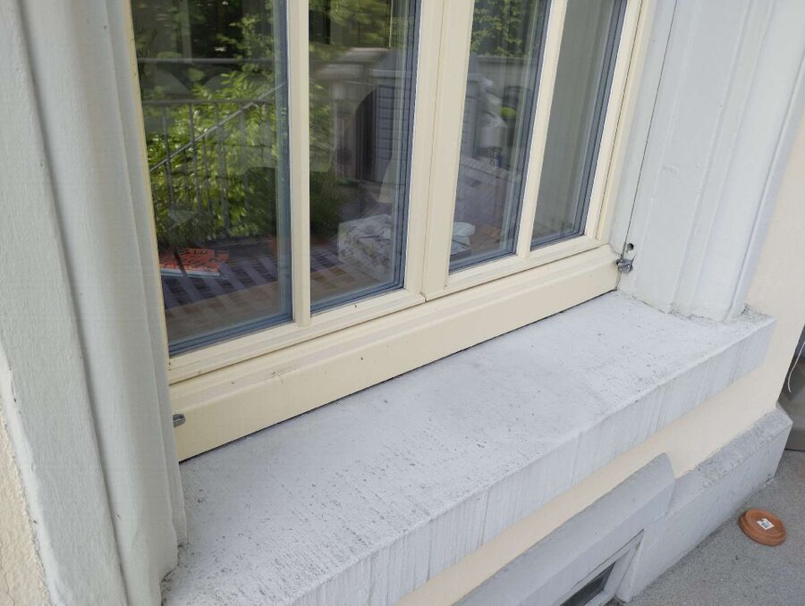 ameisen_vertreiben_bekaempfen_entfernen