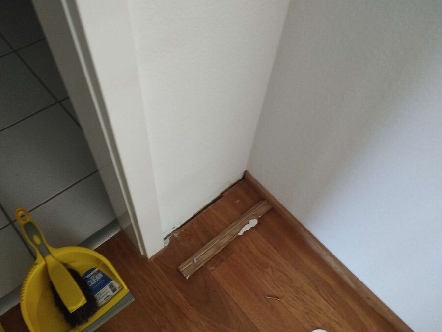 ameisen_vertreiben_bekaempfen_entfernen