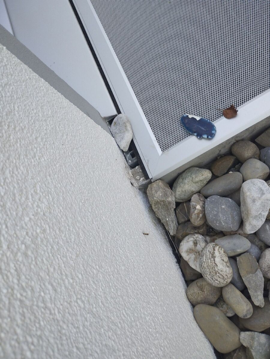 ameisen_vertreiben_bekaempfen_entfernen