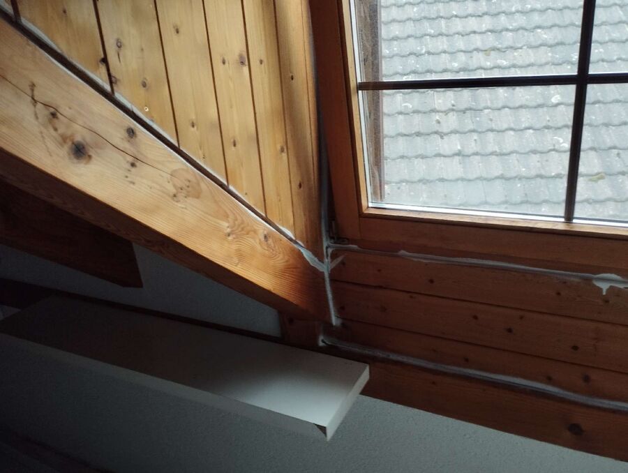 ameisen_vertreiben_bekaempfen_entfernen