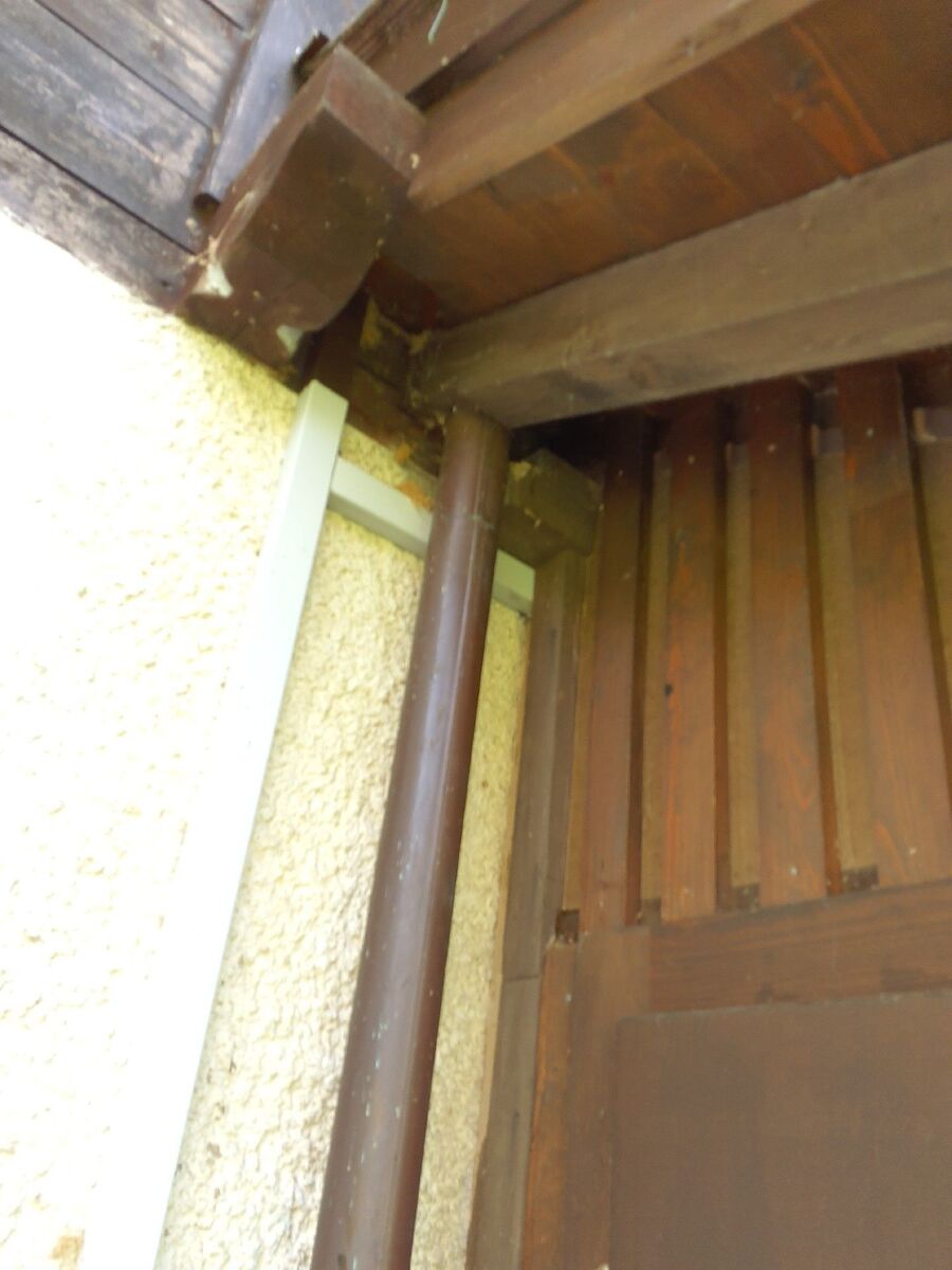 ameisen_vertreiben_bekaempfen_entfernen