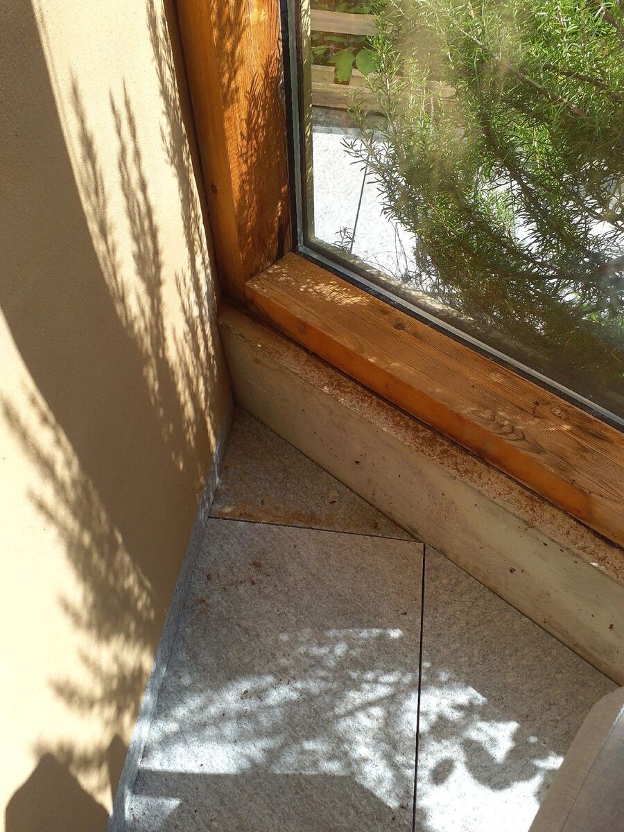 ameisen_vertreiben_bekaempfen_entfernen