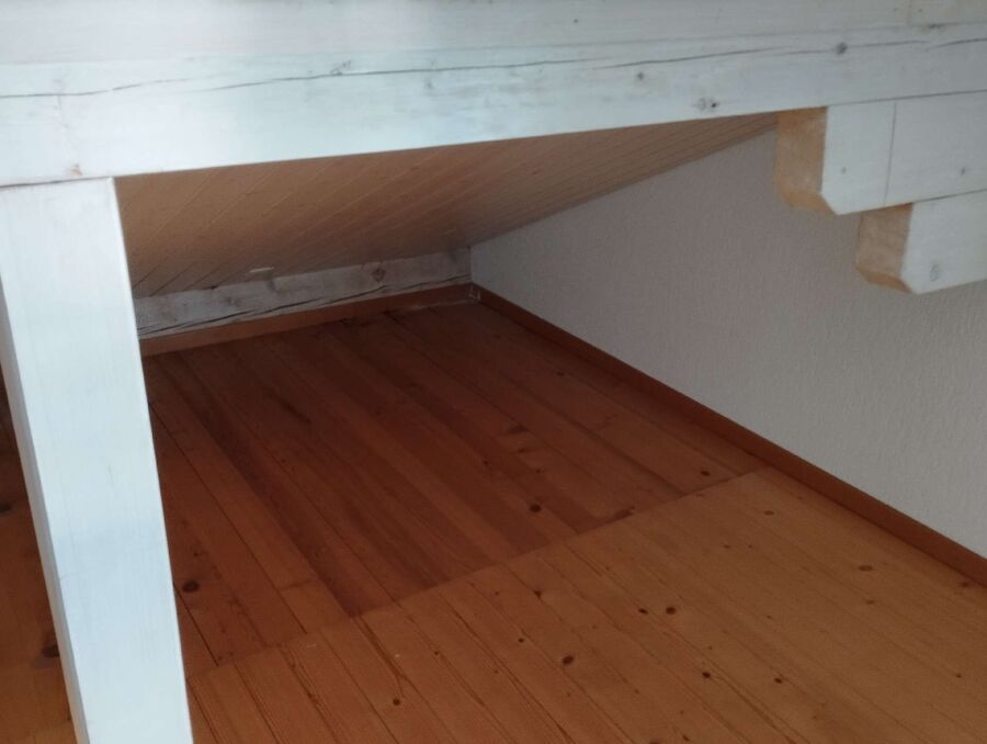 ameisen_vertreiben_bekaempfen_entfernen