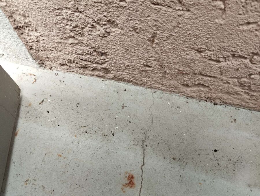 ameisen_vertreiben_bekaempfen_entfernen