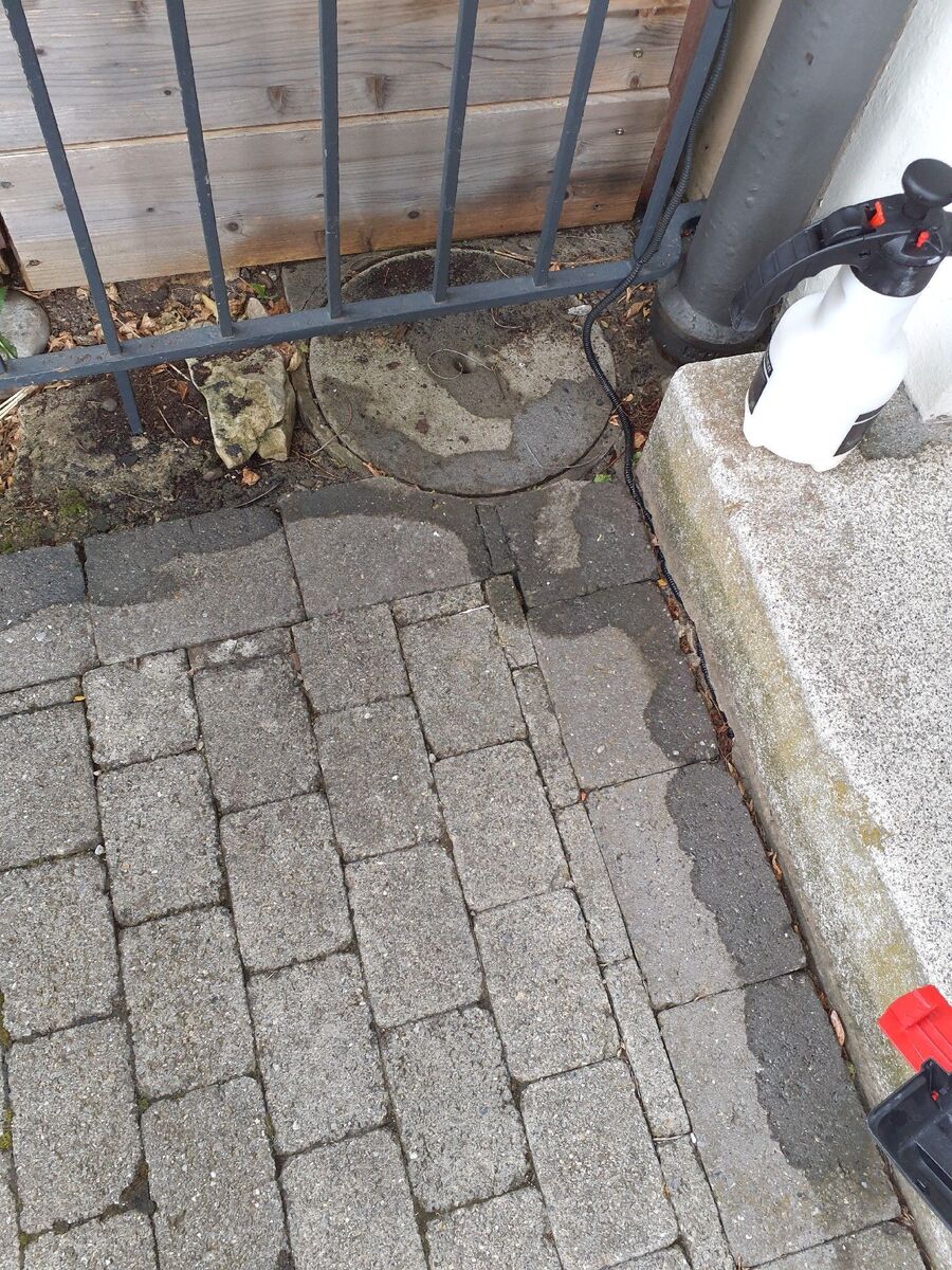 ameisen_vertreiben_bekaempfen_entfernen