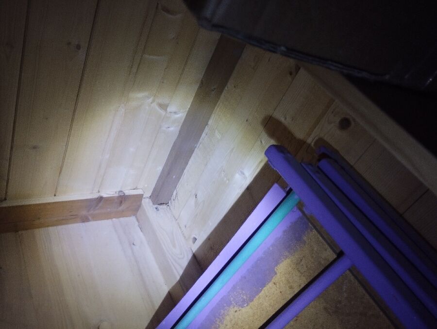 ameisen_vertreiben_bekaempfen_entfernen