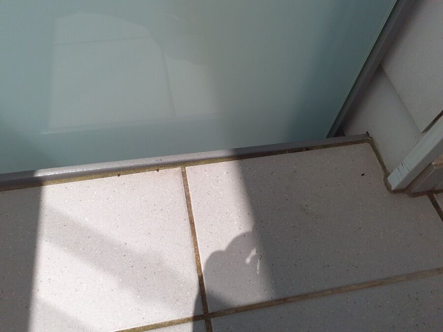 ameisen_vertreiben_bekaempfen_entfernen