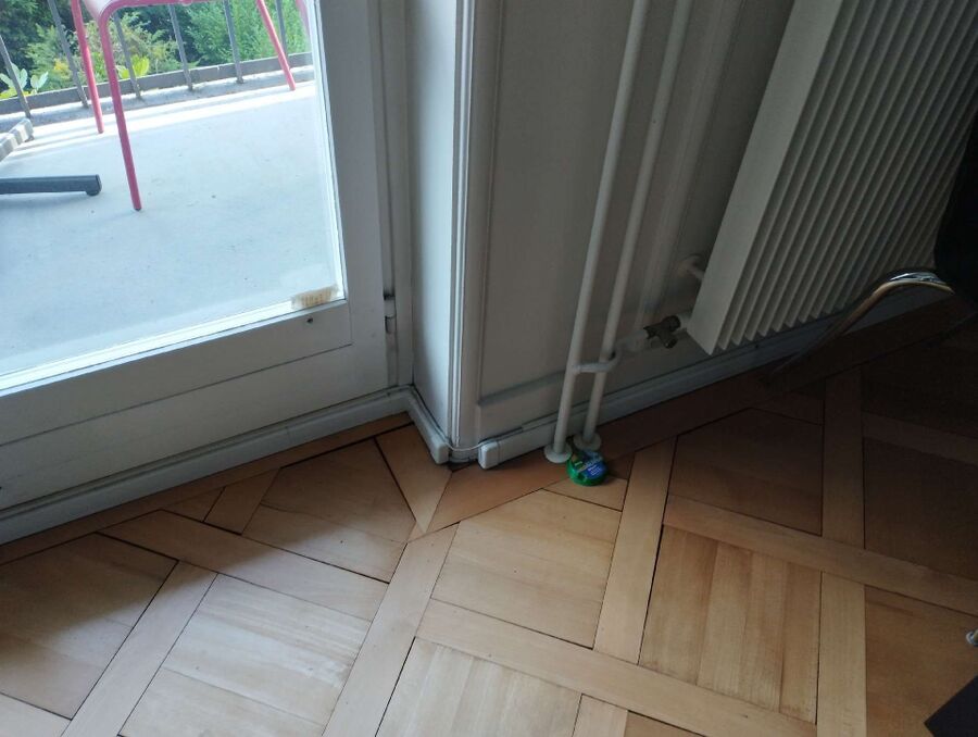 ameisen_vertreiben_bekaempfen_entfernen