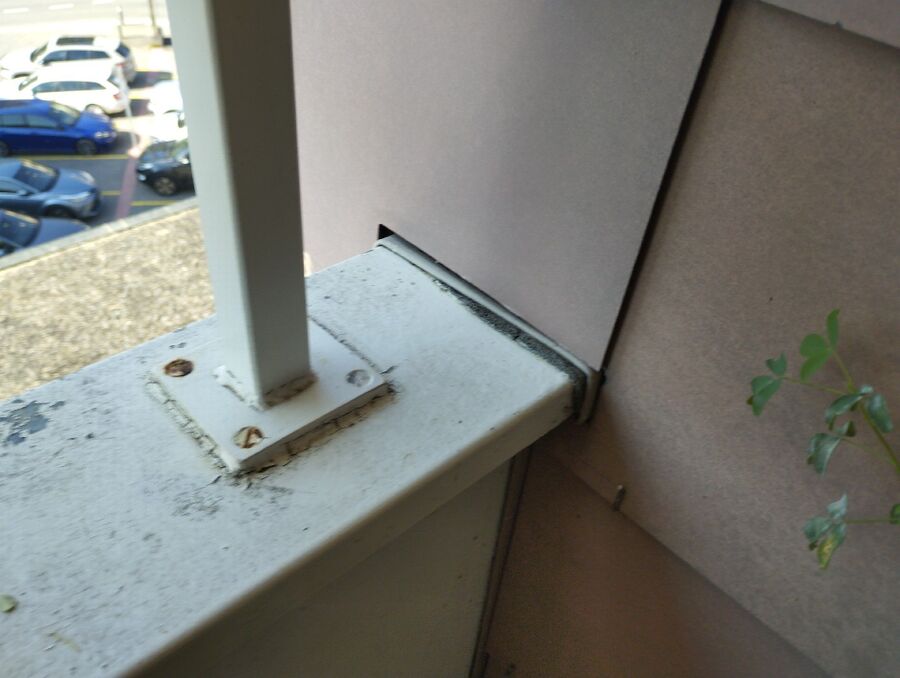 ameisen_vertreiben_bekaempfen_entfernen