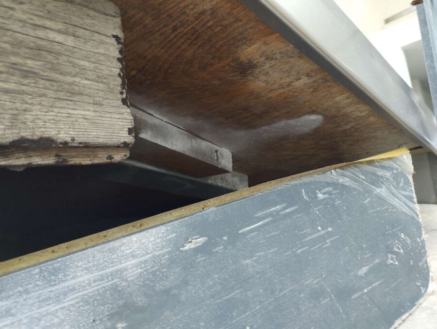 ameisen_vertreiben_bekaempfen_entfernen