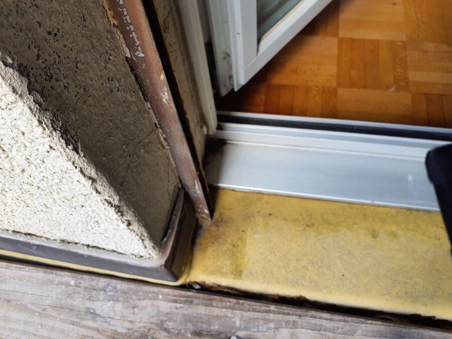 ameisen_vertreiben_bekaempfen_entfernen