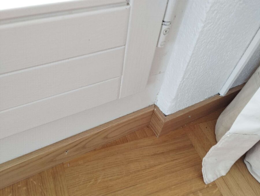 ameisen_vertreiben_bekaempfen_entfernen