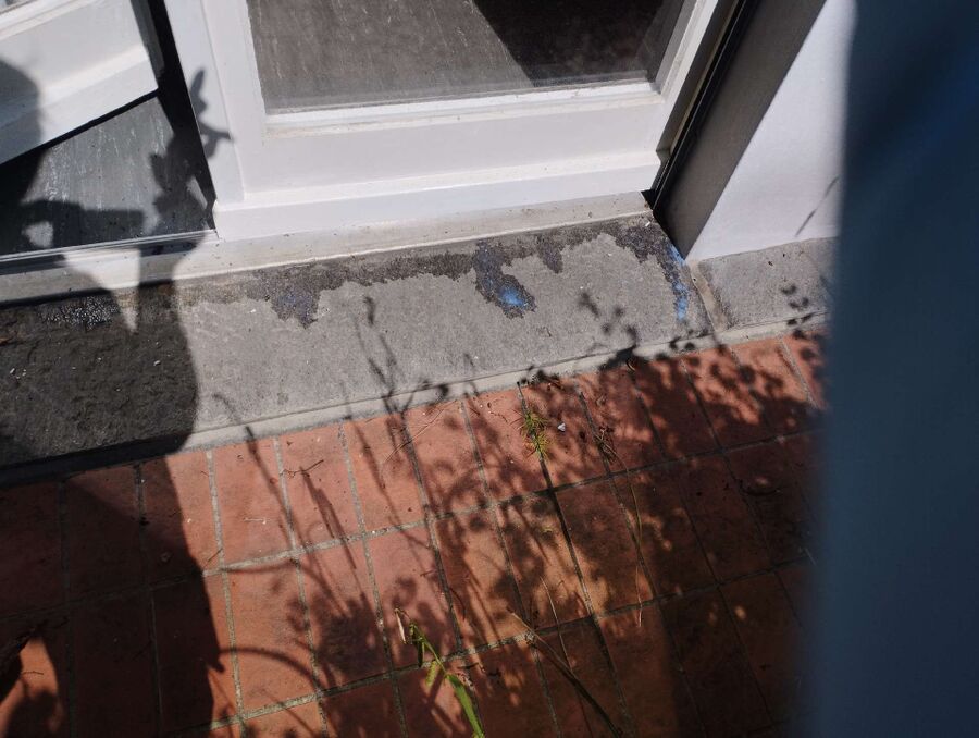 ameisen_vertreiben_bekaempfen_entfernen