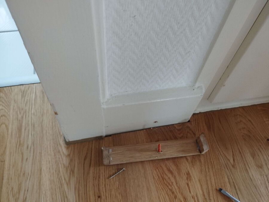 ameisen_vertreiben_bekaempfen_entfernen