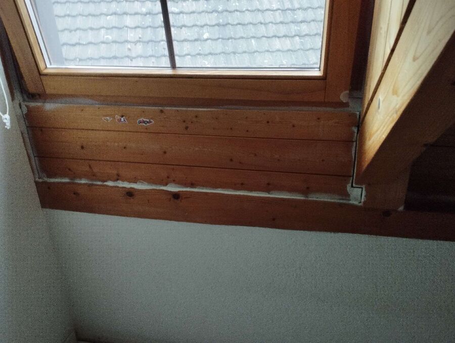 ameisen_vertreiben_bekaempfen_entfernen