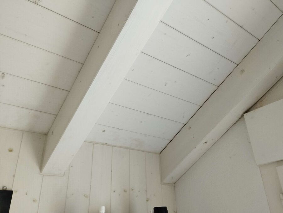 ameisen_vertreiben_bekaempfen_entfernen