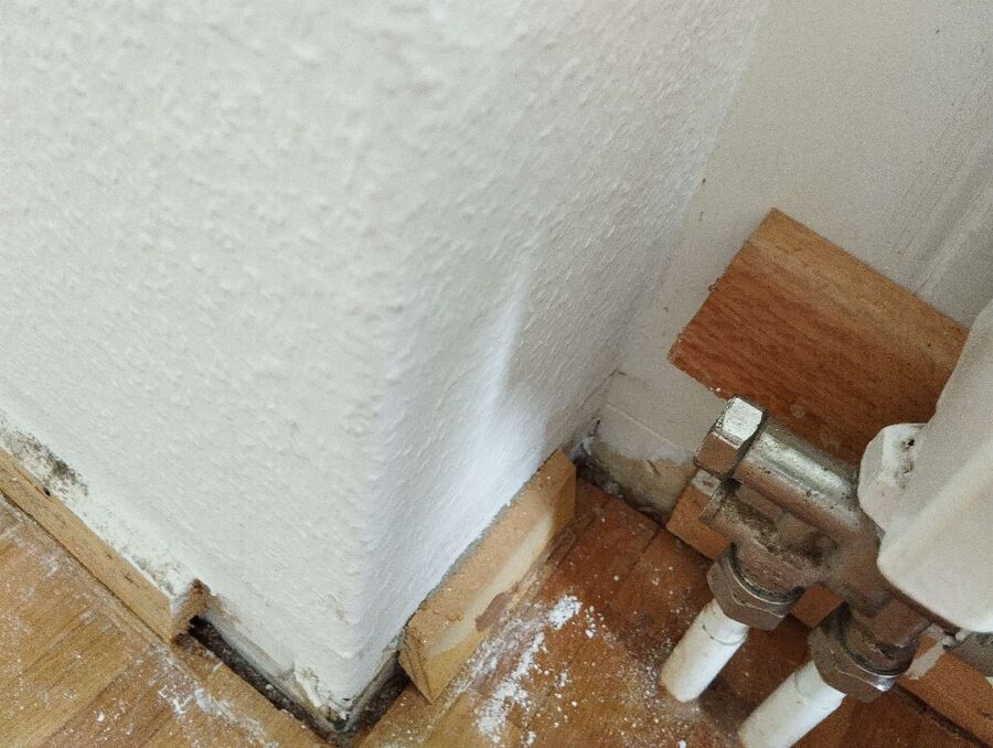 ameisen_vertreiben_bekaempfen_entfernen