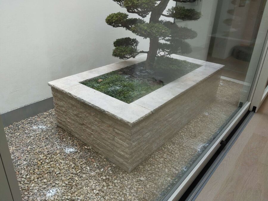 ameisen_vertreiben_bekaempfen_entfernen