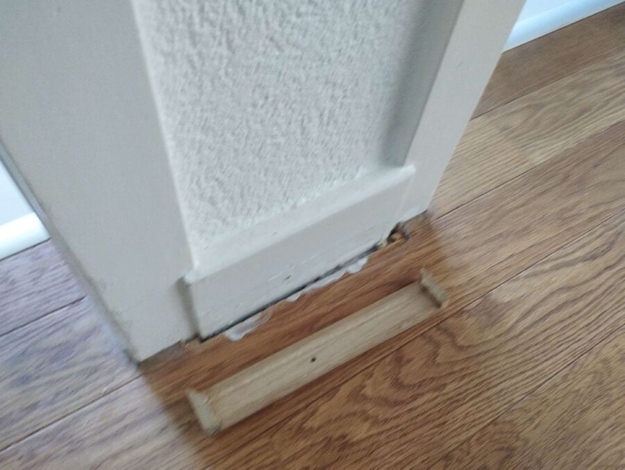 ameisen_vertreiben_bekaempfen_entfernen