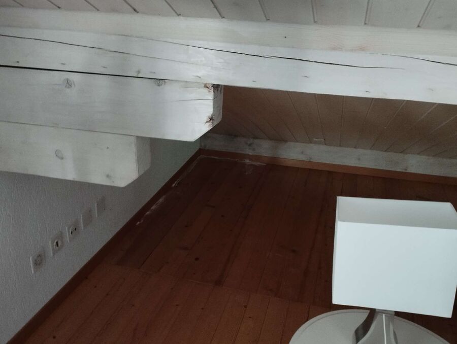 ameisen_vertreiben_bekaempfen_entfernen