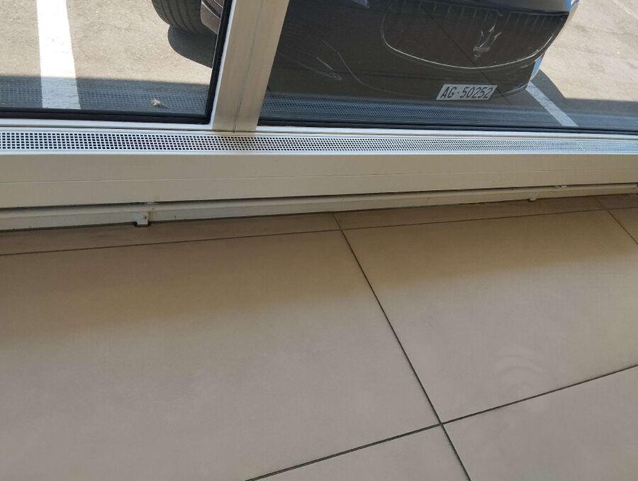 ameisen_vertreiben_bekaempfen_entfernen