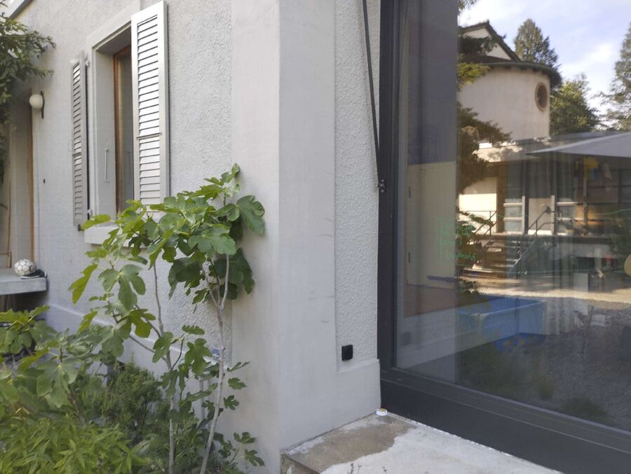 ameisen_vertreiben_bekaempfen_entfernen