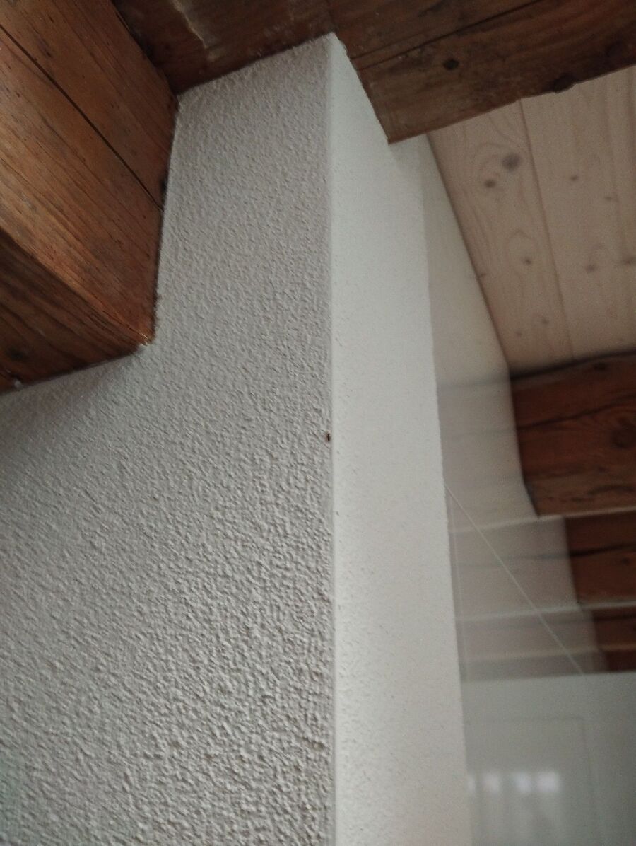 ameisen_vertreiben_bekaempfen_entfernen