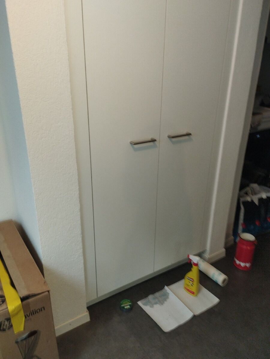 ameisen_vertreiben_bekaempfen_entfernen